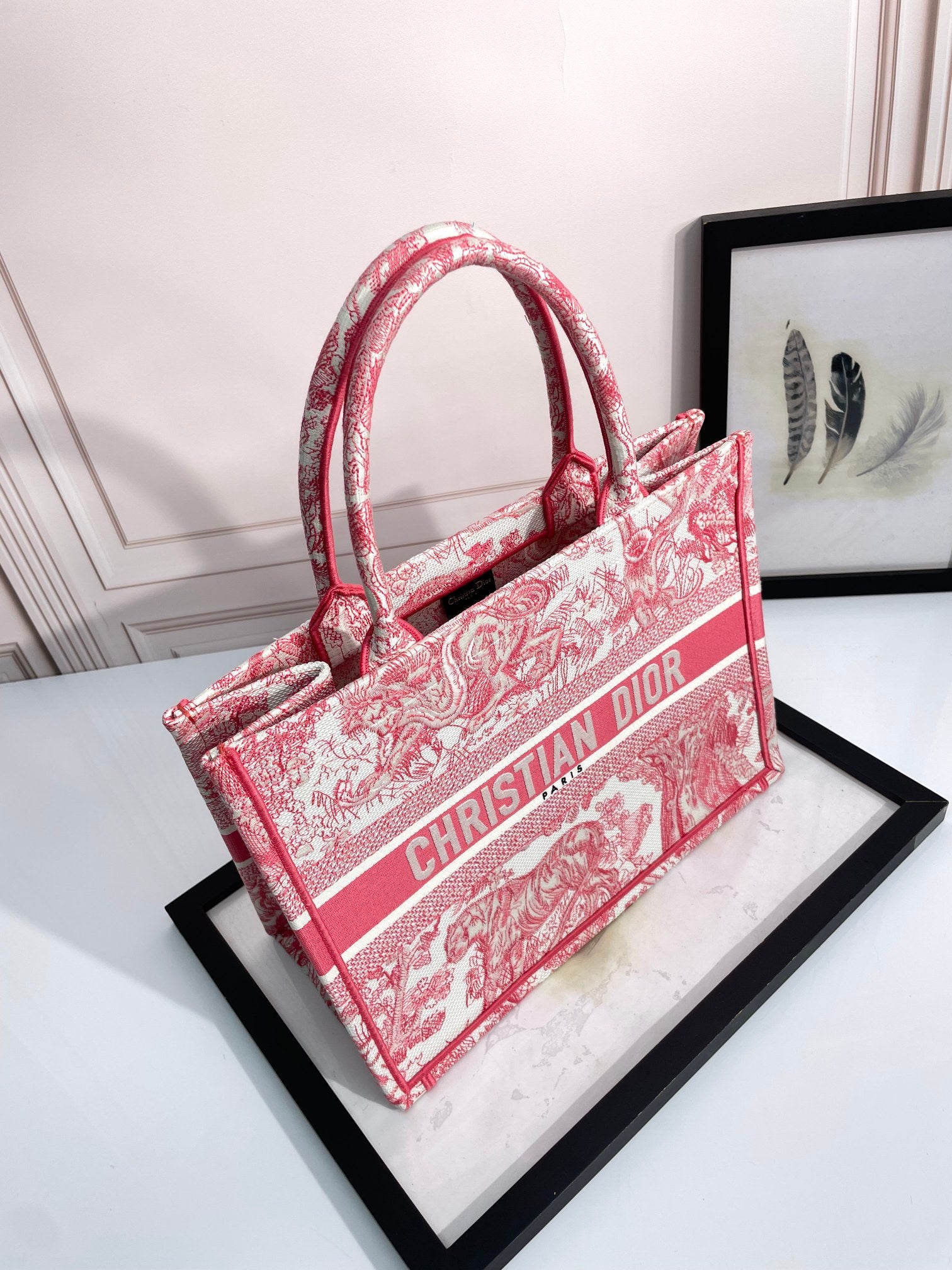 Christian Dior Medium Book Tote - Red Toile de Jouy Embroidery