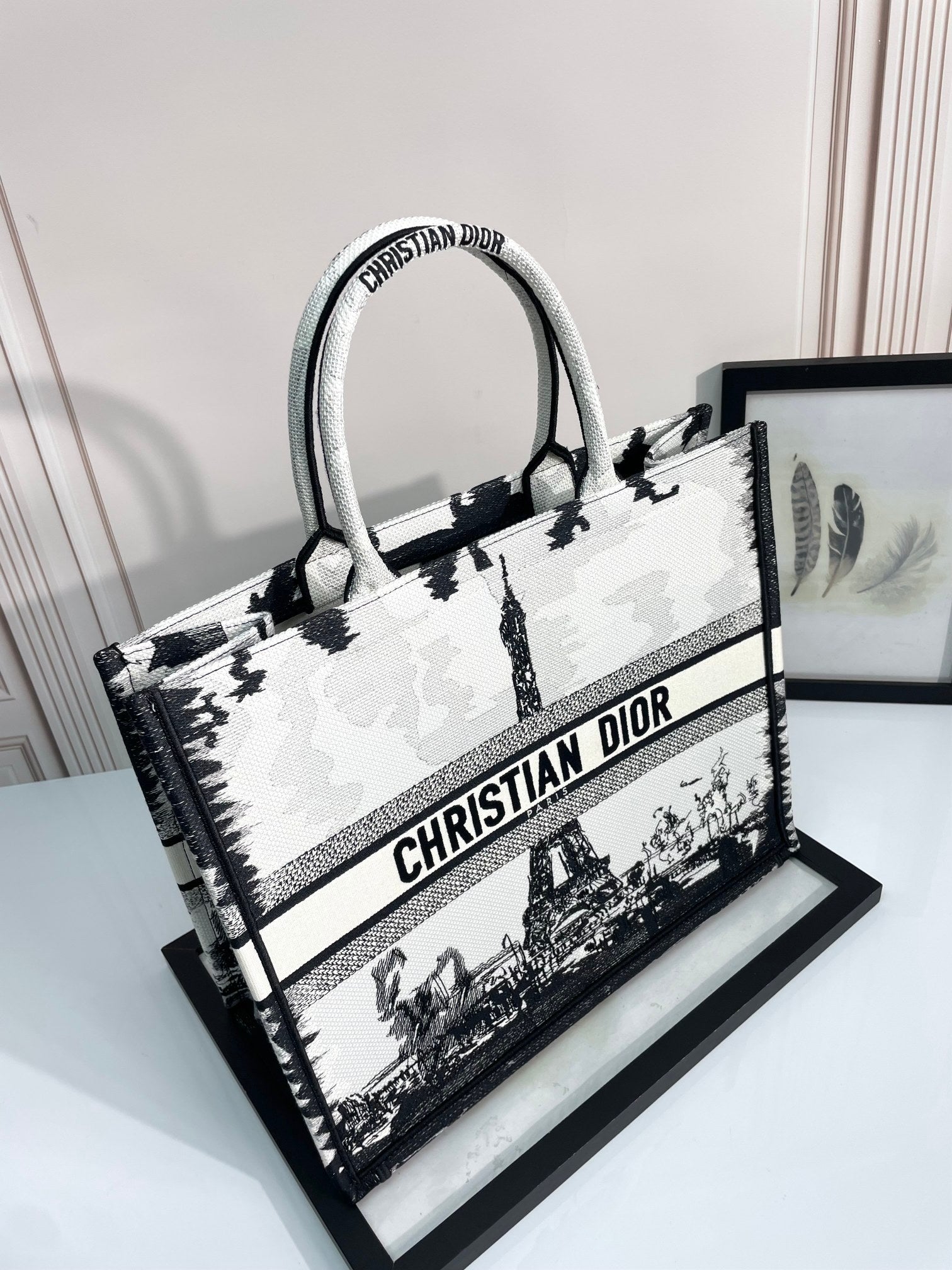 Christian Dior Medium Book Tote Bag - White and Black Plan de Paris Embroidery