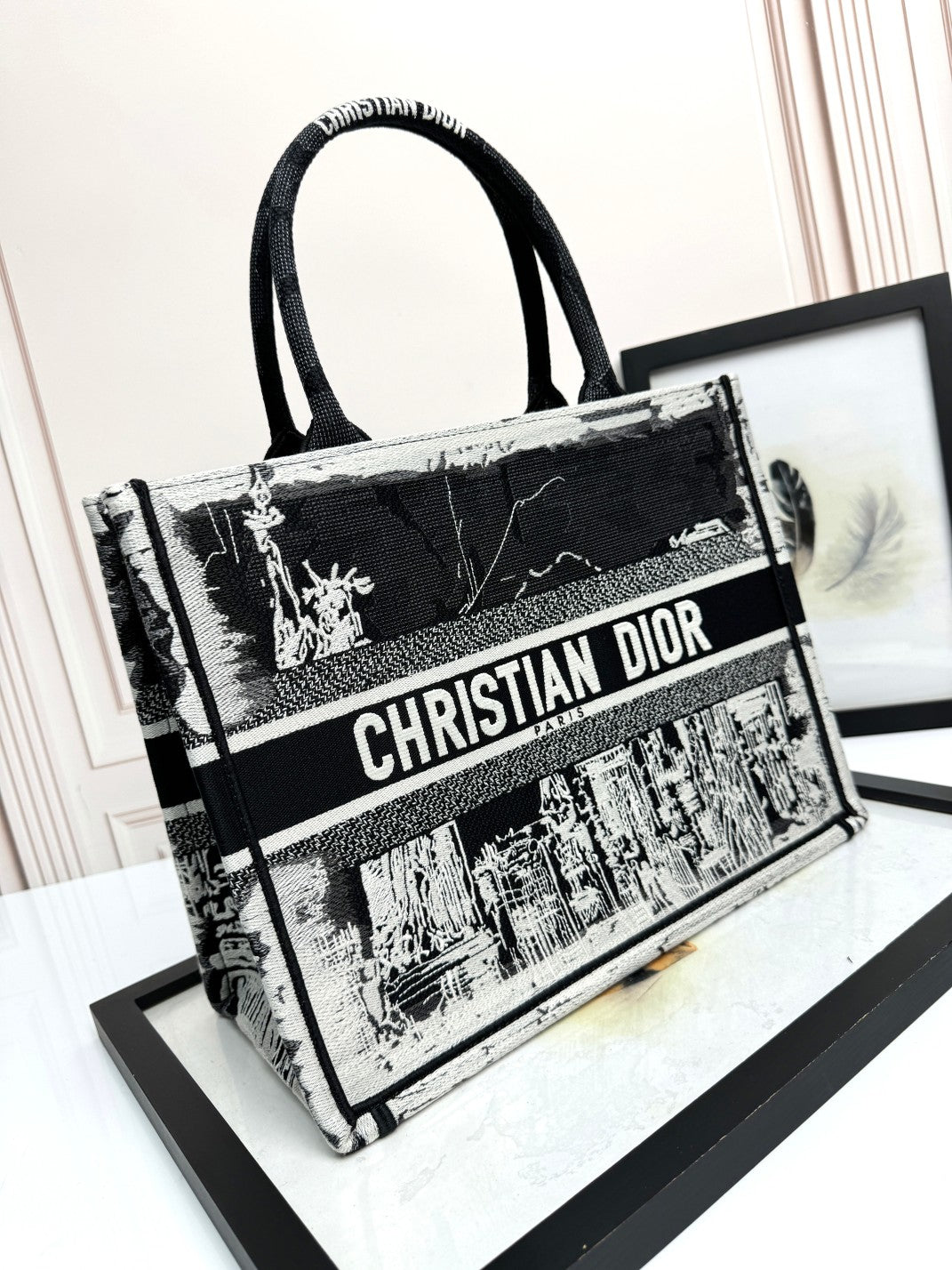 Dior Embroidered Black and White Graphic Canvas Tote Handbag