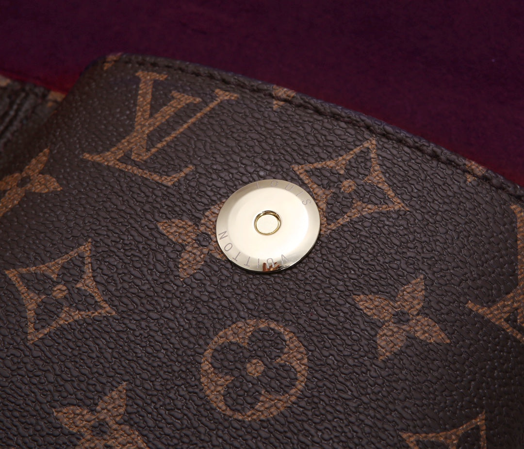 Louis Vuitton Brown Monogram Canvas Shoulder Bag with Gold Chain Strap