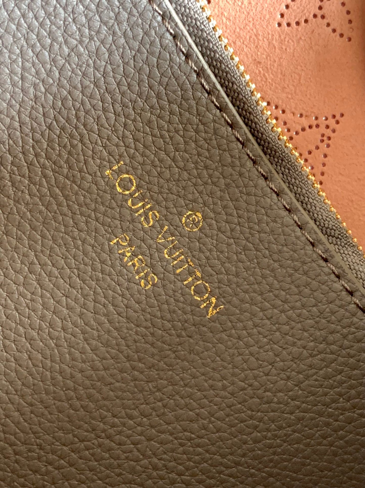 Louis Vuitton Carmel Hobo Bag Mahina Perforated Leather Galet