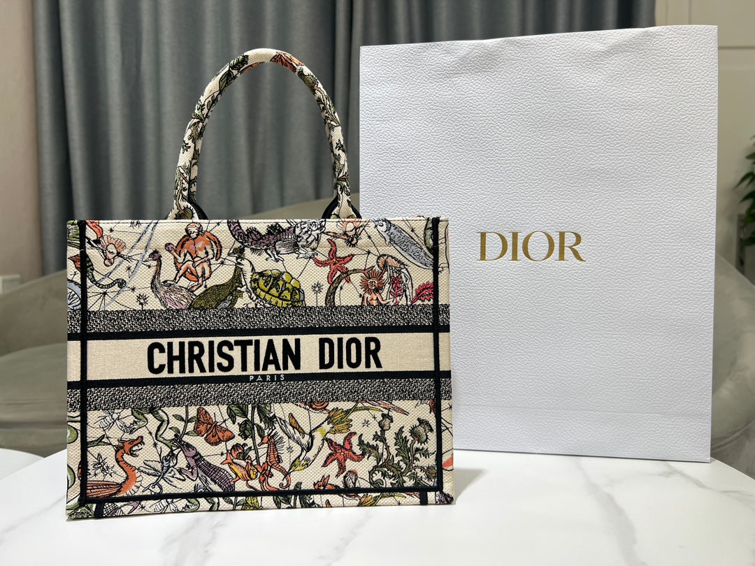 Christian Dior Book Tote - Multicolor Toile de Jouy Voyage Embroidery