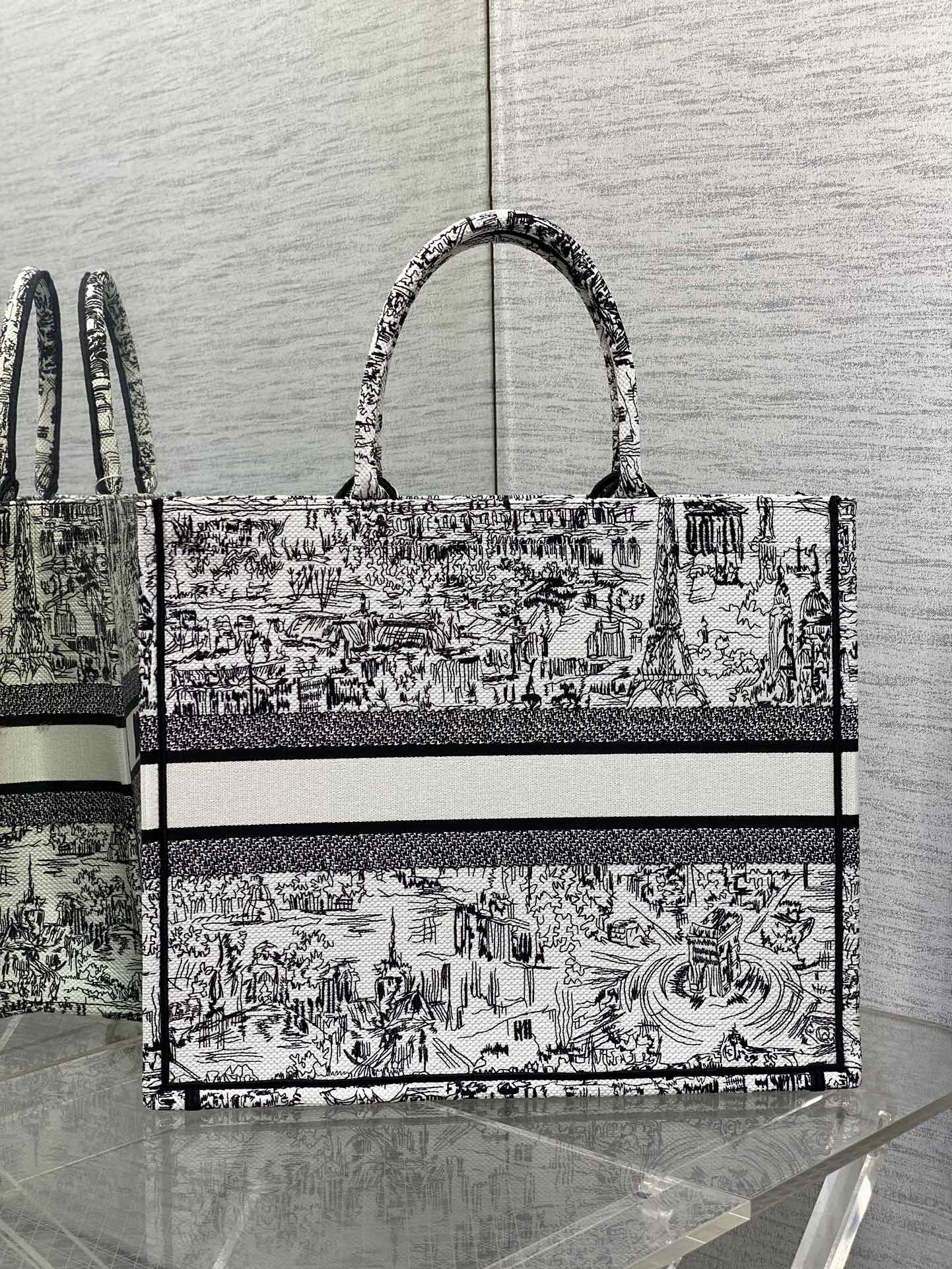 Christian Dior Large Book Tote White and Black Plan de Paris Embroidery Canvas